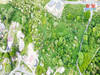 dji_fly_20230605_160542_64_1685974098083_photo_optimized.png