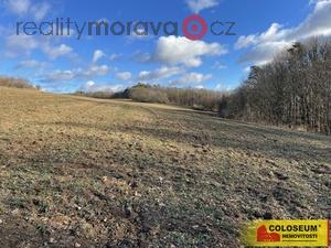 foto Blansko - Tchov, travn porost 2458 m2, investice - pozemek