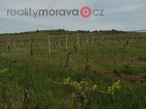foto Prodej vinice ve vyhlen lokalit obce Miroslav