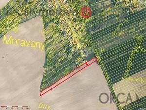 foto 0,3 ha pozemk v k.. Moravany u Kyjova