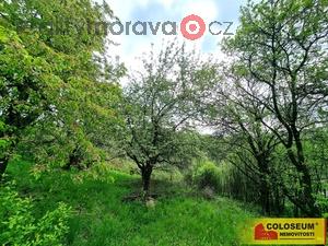 foto Blansko - Baina, zahrada 593 m2 - pozemek