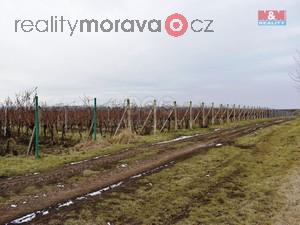 foto Prodej vinice, 9811 m2, Moravsk ikov