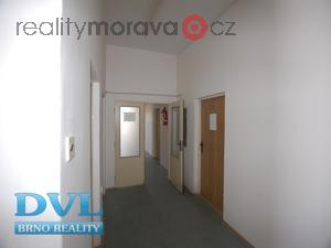 foto Kancelsk prostory 14-49 m2 - Brno-ernovice, ul. Vinohradsk