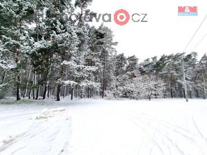 foto Prodej lesa, 5663 m2, Ratkovice