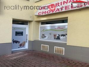 foto Pronjem veterinrn ordinace (cca 46 m2) - Brno - Veve