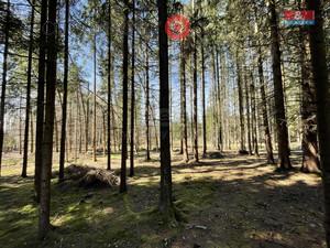 foto Prodej lesa, 5744 m2, Stte