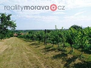 foto Pozemek k vstavb vinnho sklepa s nstavbou a pln plodc vinic v Drnholci