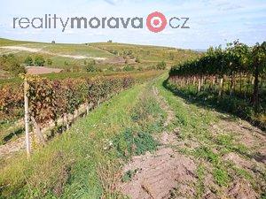 foto Pozemek uren k vsadb vinice v Dolnch Dunajovicch