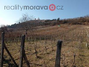 foto Prodej vinice v ndhern krajin na pat Svatho kopeku v Mikulov