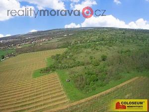 foto Znojmo  Oblekovice, vinice, trval travn porost, lesn pozemek, 16 843 m2  pozemek
