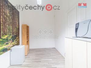 foto Podnjem kancelskho prostoru, 37 m2, Praha, ul. Splen