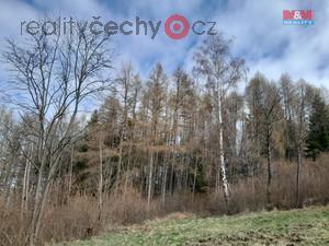 foto Prodej lesa, 5083 m2, Zlezly - Setchovice