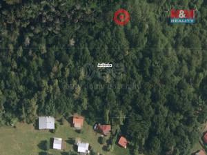 foto Prodej lesa, 12655 m2, Jeviovice