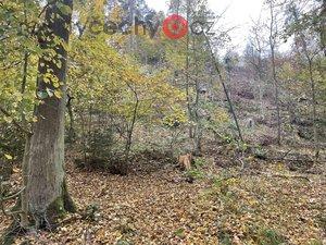 foto Prodej lesnch pozemk navazujcch na lom s vltavny - Loenice/Chlum