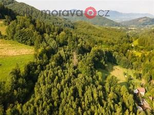 foto Prodej vzrostlho, udrovanho lesa, 20 558 m2, v obci Ndek