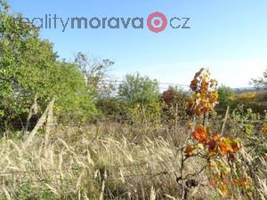 foto Draba pozemk (ovocn sad, vinice, orn pda a dal) k.. Svatoboice-Mistn