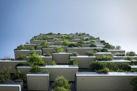 Brno dává zelenou dotacím pro zelené střechy